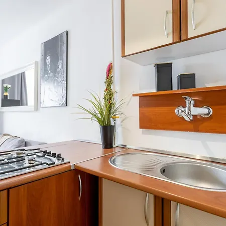 Golden In - One Bedroom In The Center - Zelazna Appartement Varsovie